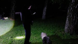 Ukraine Shoots Down Russian Missiles on Kyiv wsjrenewal