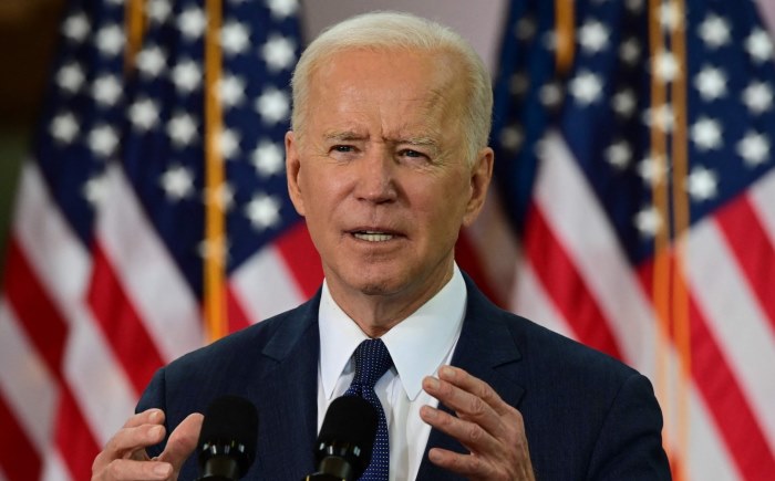 Biden Gambles on Judicial Destiny with 'Entirety of Government' Strategies