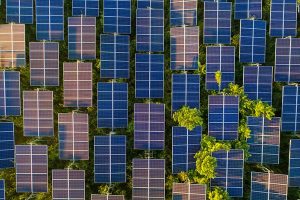 Federal Funding Spurs Solar Revolution on Farms Across America